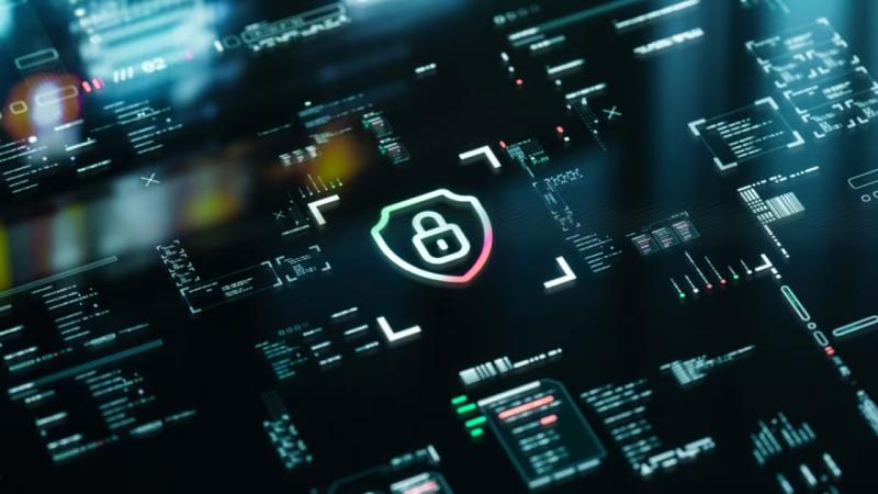 召陵区软件开发公司